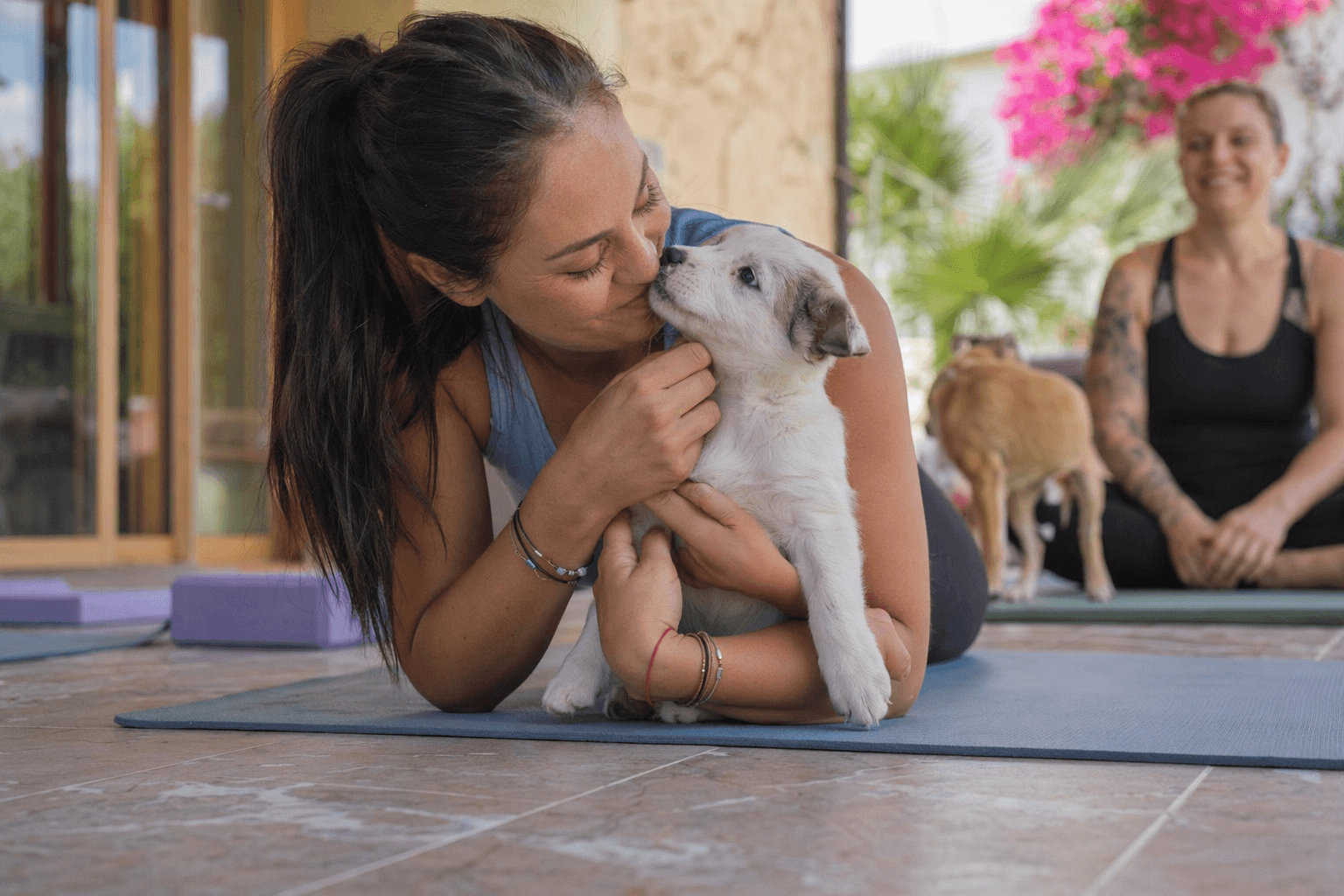 Cyprus villa turns dog yoga into rescue puppy rehabilitation home