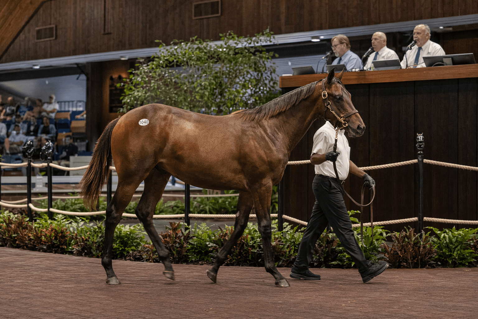 Tom Durant’s Flightline colt shatters OBS record at $10.5 million