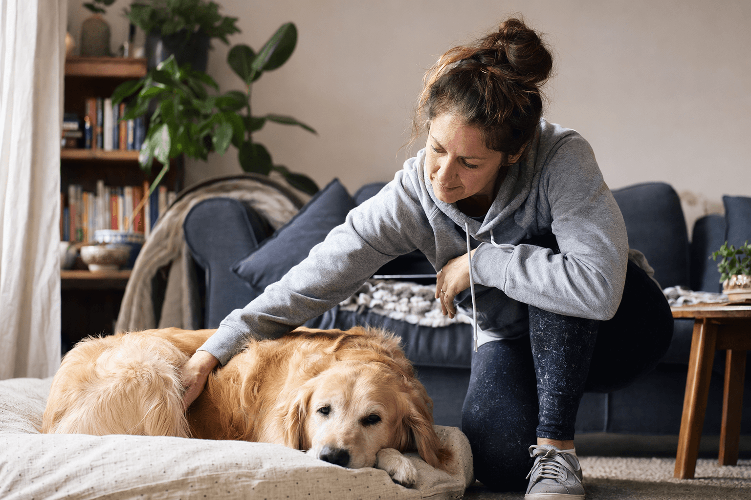 AKC says routines help hyperenergetic dogs, reduce stress and bad habits