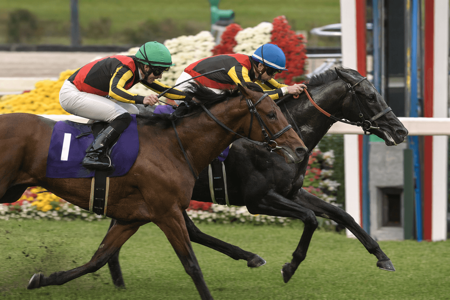 Croix du Nord edges Tenno Sho (Spring) by a nose at Kyoto