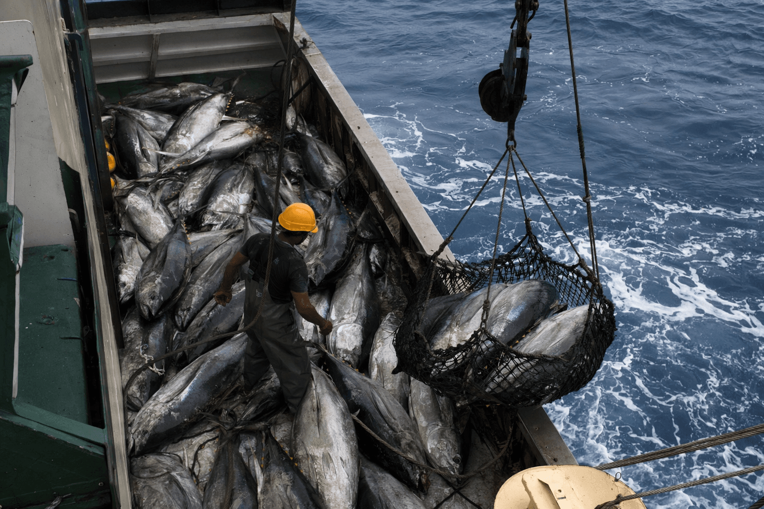 European fleets reflag ships to capture Indian Ocean tuna quotas
