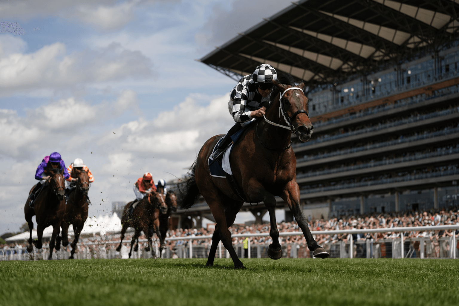 Rey Magnerio gets ideal setup in million-dollar Goodwood Stakes test