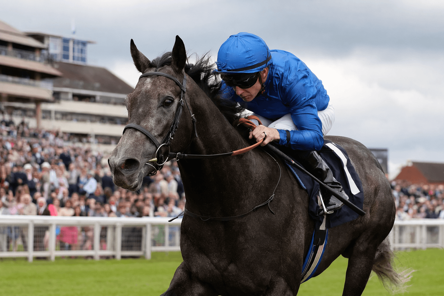 Benvenuto Cellini leads Derby picture after latest British confirmation stage