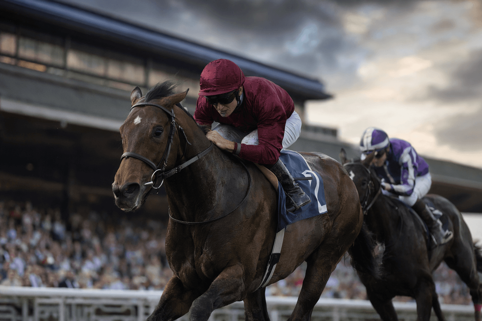 Tornado Tower strikes at Chester, full-brother to Hurricane Lane wins maiden