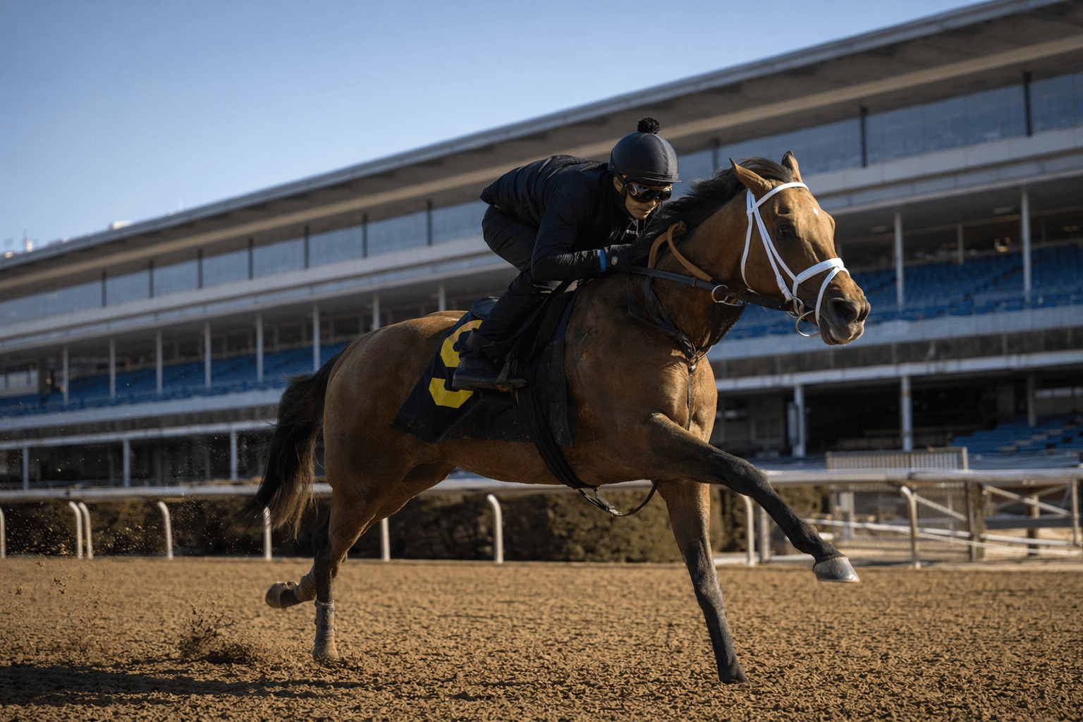 Munnings Express faces seven-furlong test in Aqueduct allowance bid