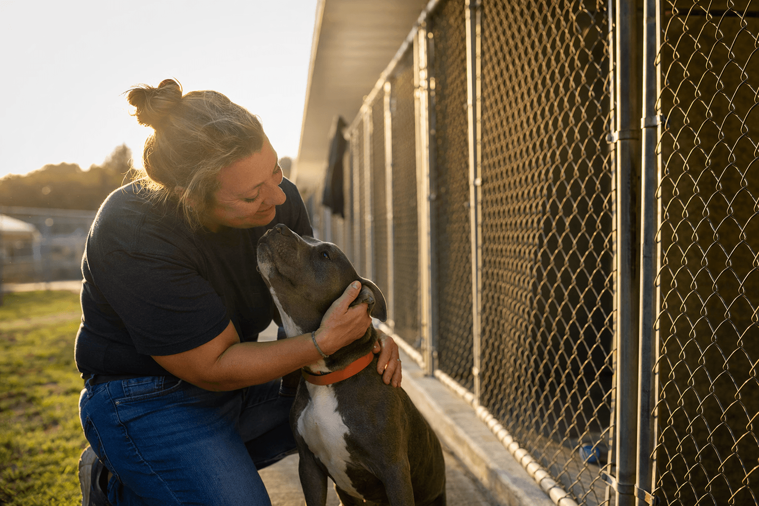 Orange County animal charities get grants for repairs, supplies, care