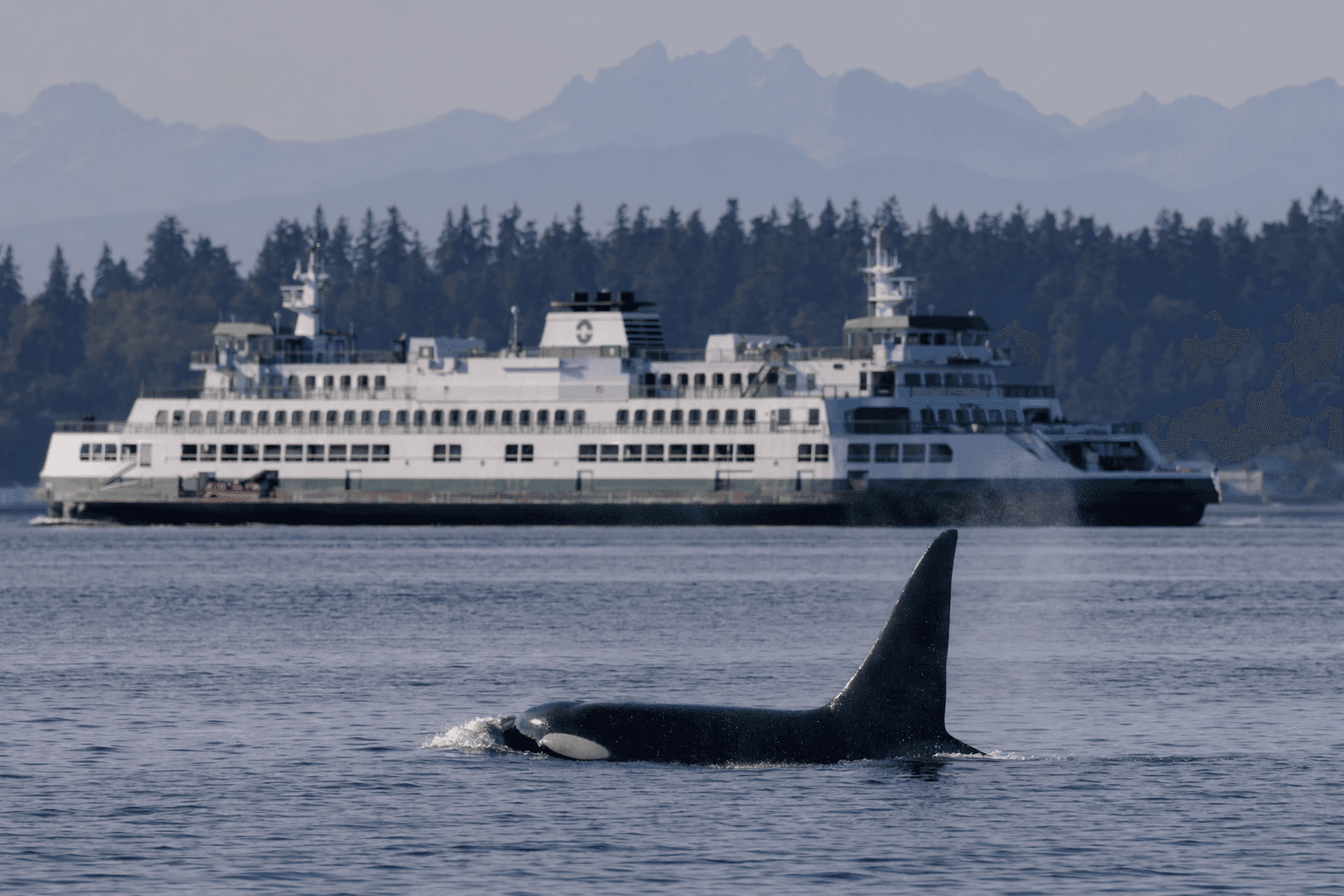 Good Morning America spotlights Washington state’s ferries, whales and natural beauty