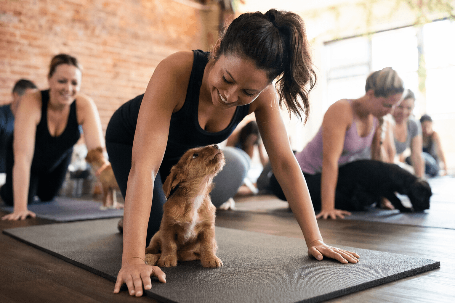 North Port puppy yoga class nearly sold out, only two spots left