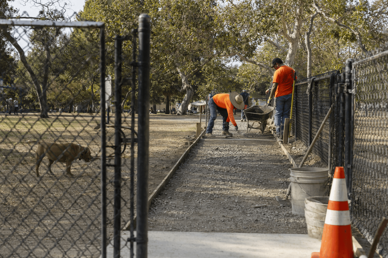 Claremont to close Moody Park Dog Park walkway Friday for concrete pour