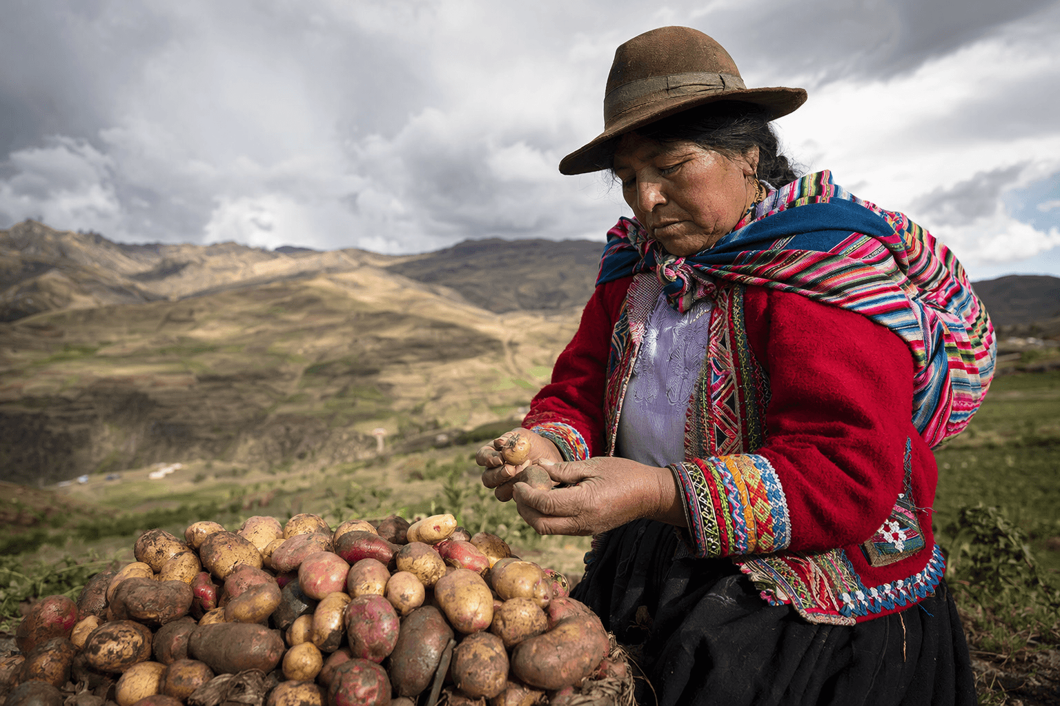 Potato-rich Andean diet shaped Indigenous DNA over thousands of years
