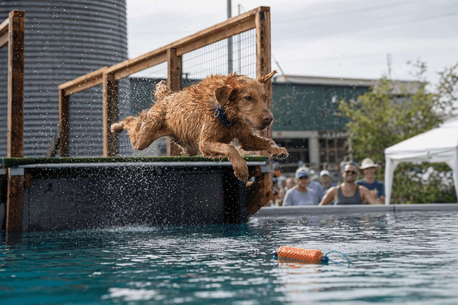Dogfish Head brewery hosts free dock-diving festival for dogs and families