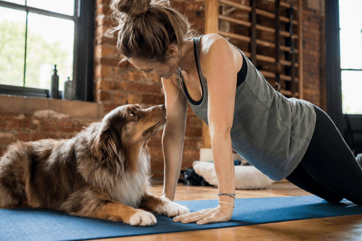 BringFido Guide Shows How Doga Strengthens Bonds Between Dogs and Owners