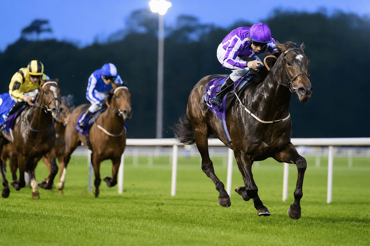 Confucius powers clear at Naas to land maiden by 3¾ lengths