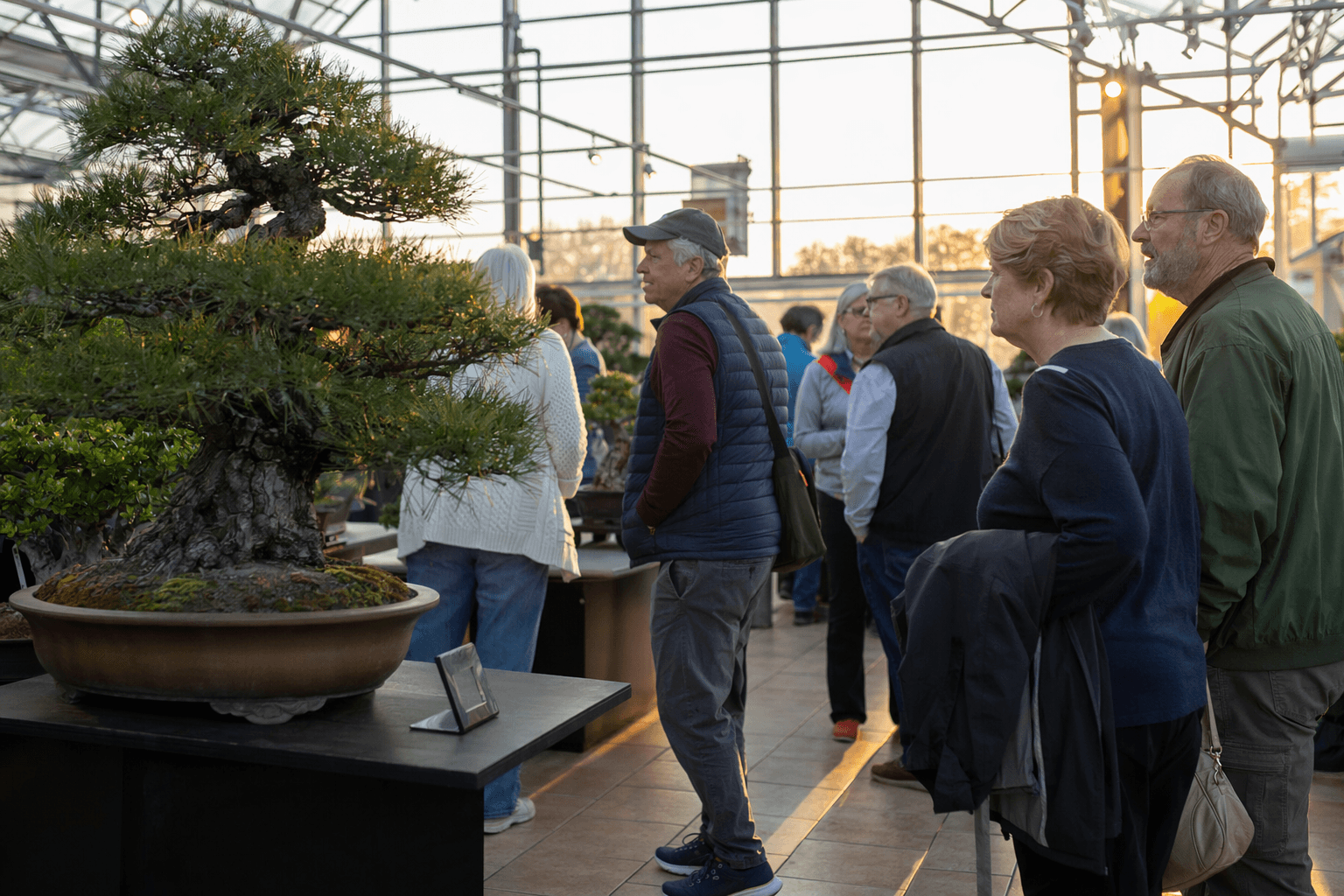 Badger Bonsai Society Exhibit Brings Diverse Trees, Artist Talks to Olbrich