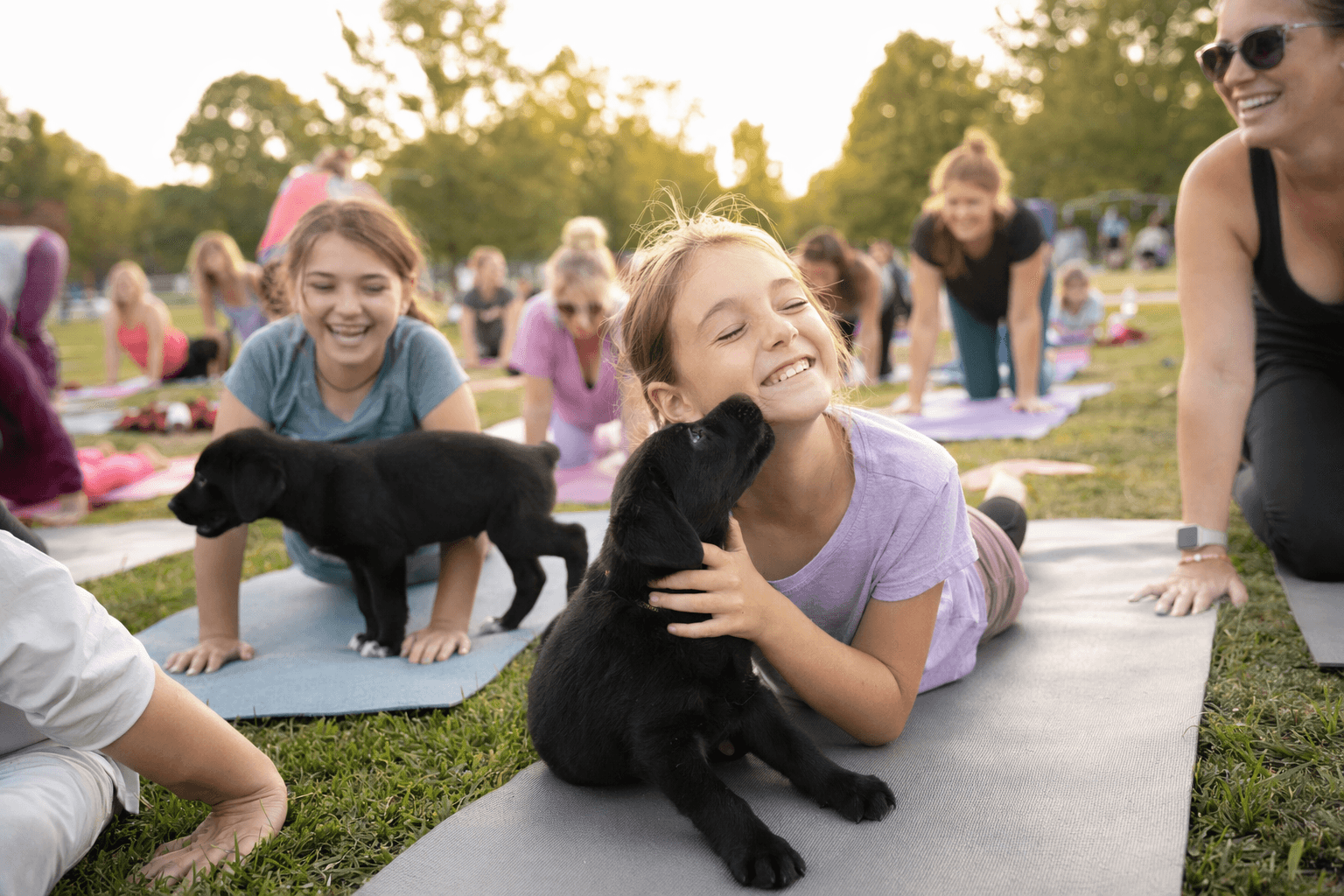 Clarence family wellness day adds puppy yoga, bike rodeo, and music