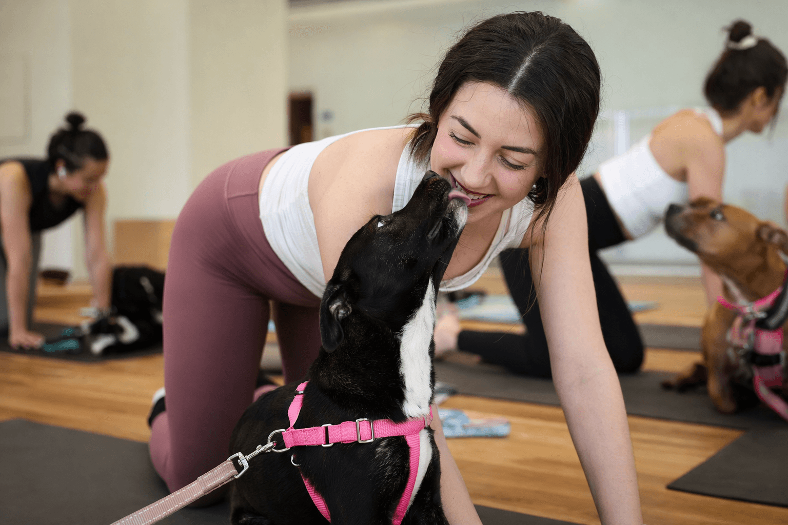 Paws & Poses yoga event helps Manlius shelter dogs and adopters connect