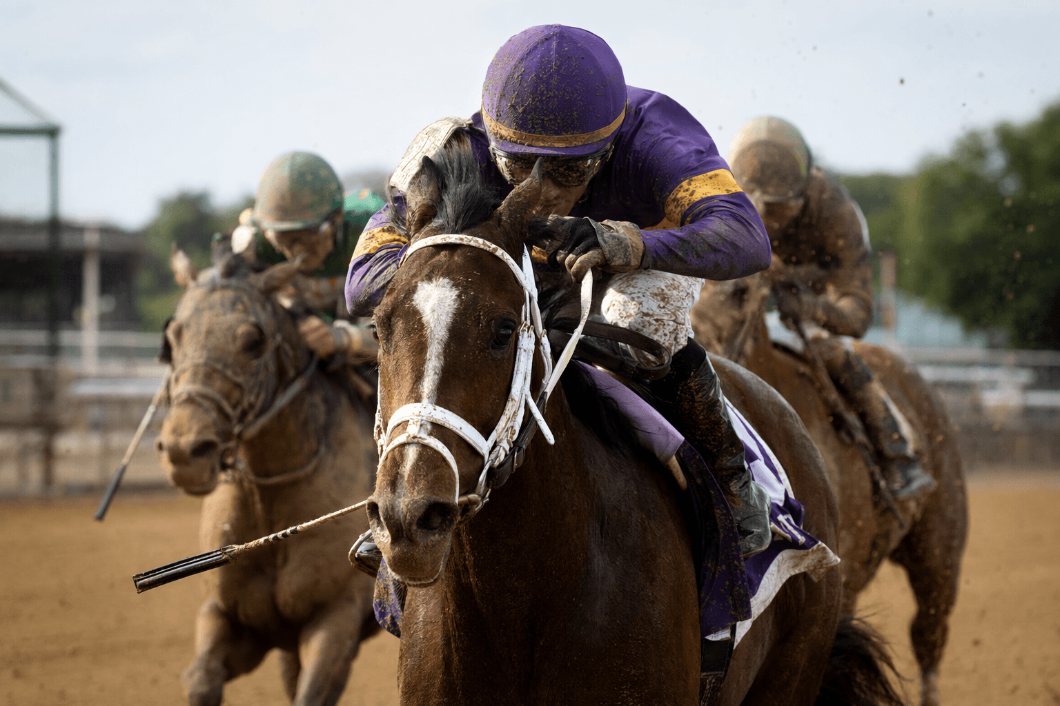 Eunomia leads Joseph trio in wide-open Ruffian Stakes at Aqueduct
