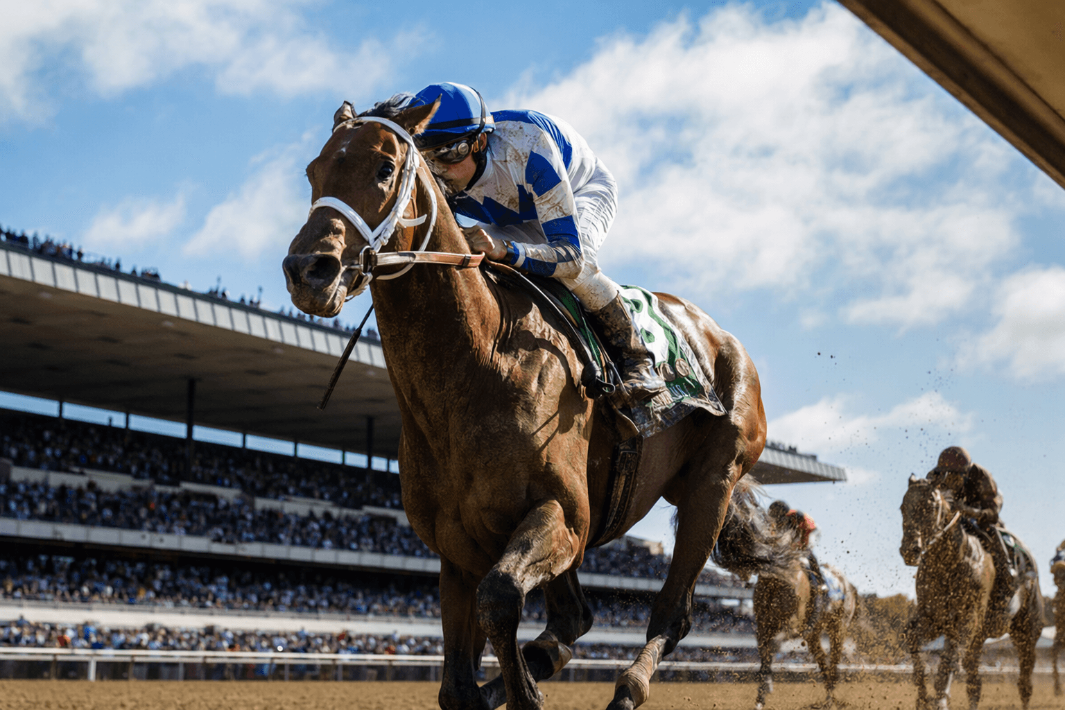 Danny Gargan targets Laurel Park Preakness with Talkin after Belmont win