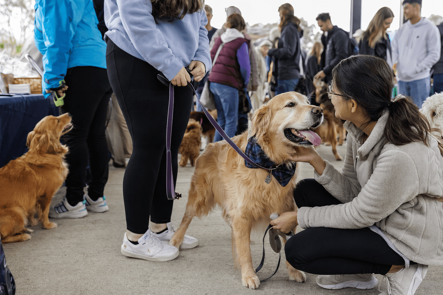 Fairfax County Park and Bark blends dogs, rescue, and family fun