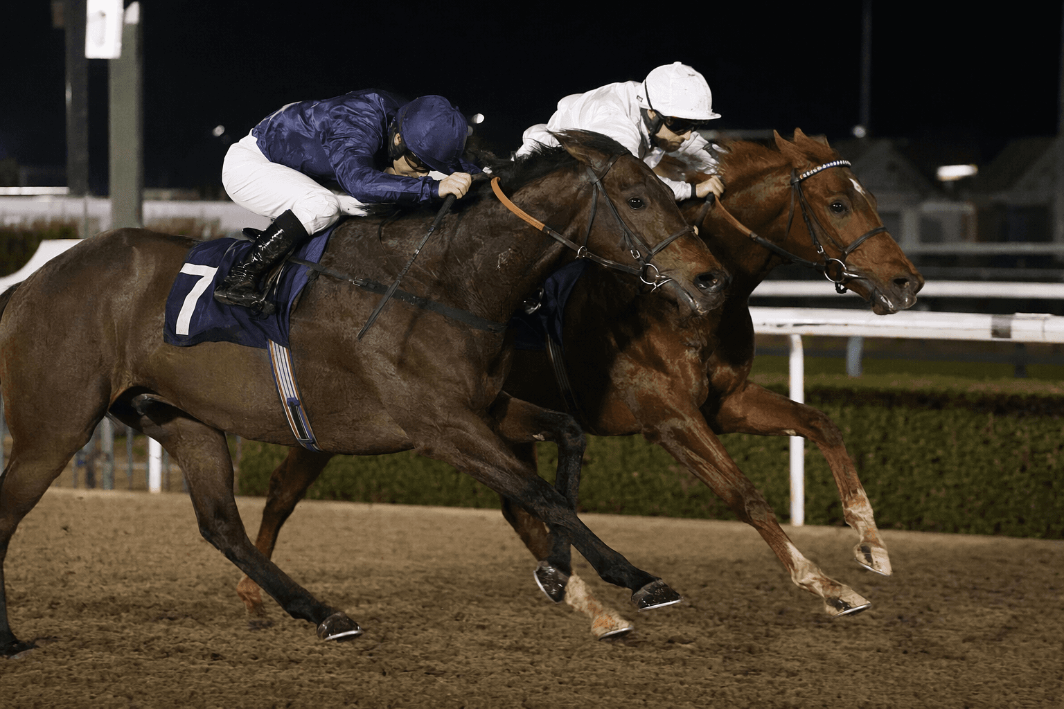 Maltese Cross lands Lingfield Derby Trial, strengthens Epsom claims