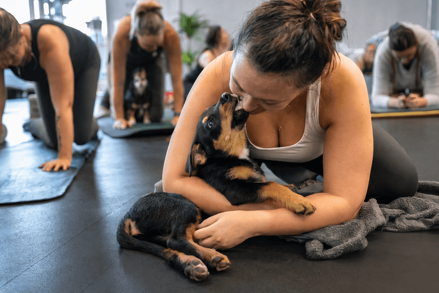 Tri-Cities puppy yoga fundraiser to support pet overpopulation prevention