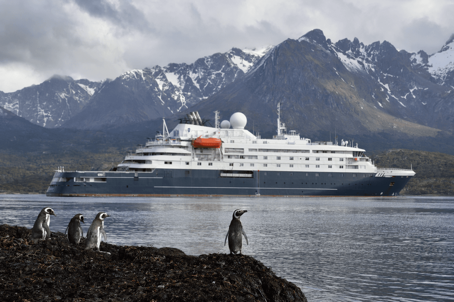 Tierra del Fuego Pushes Back on Hantavirus Cruise Outbreak Link