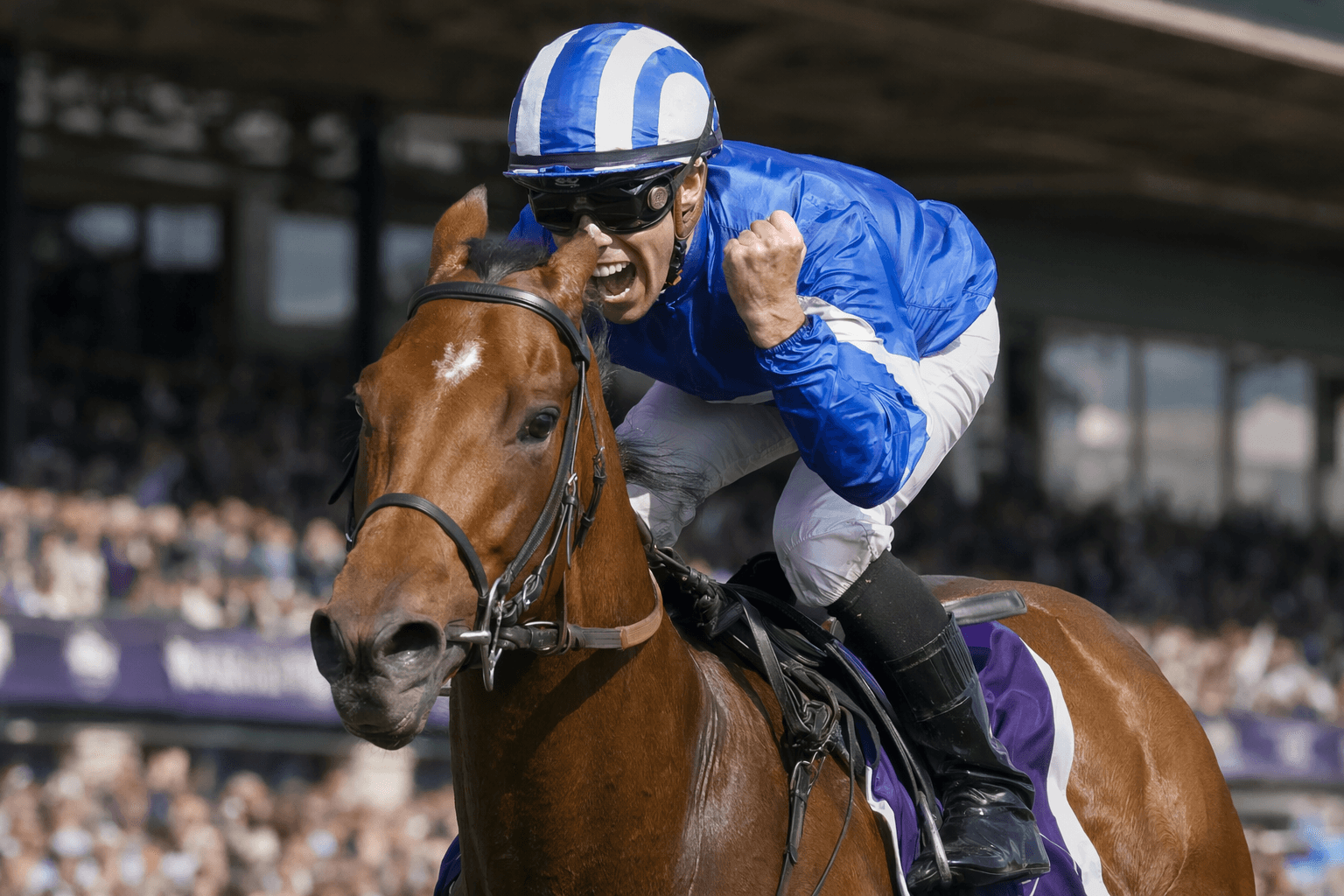 Breeders' Cup Turf Sprint winner Starlust returns to training after stud concerns