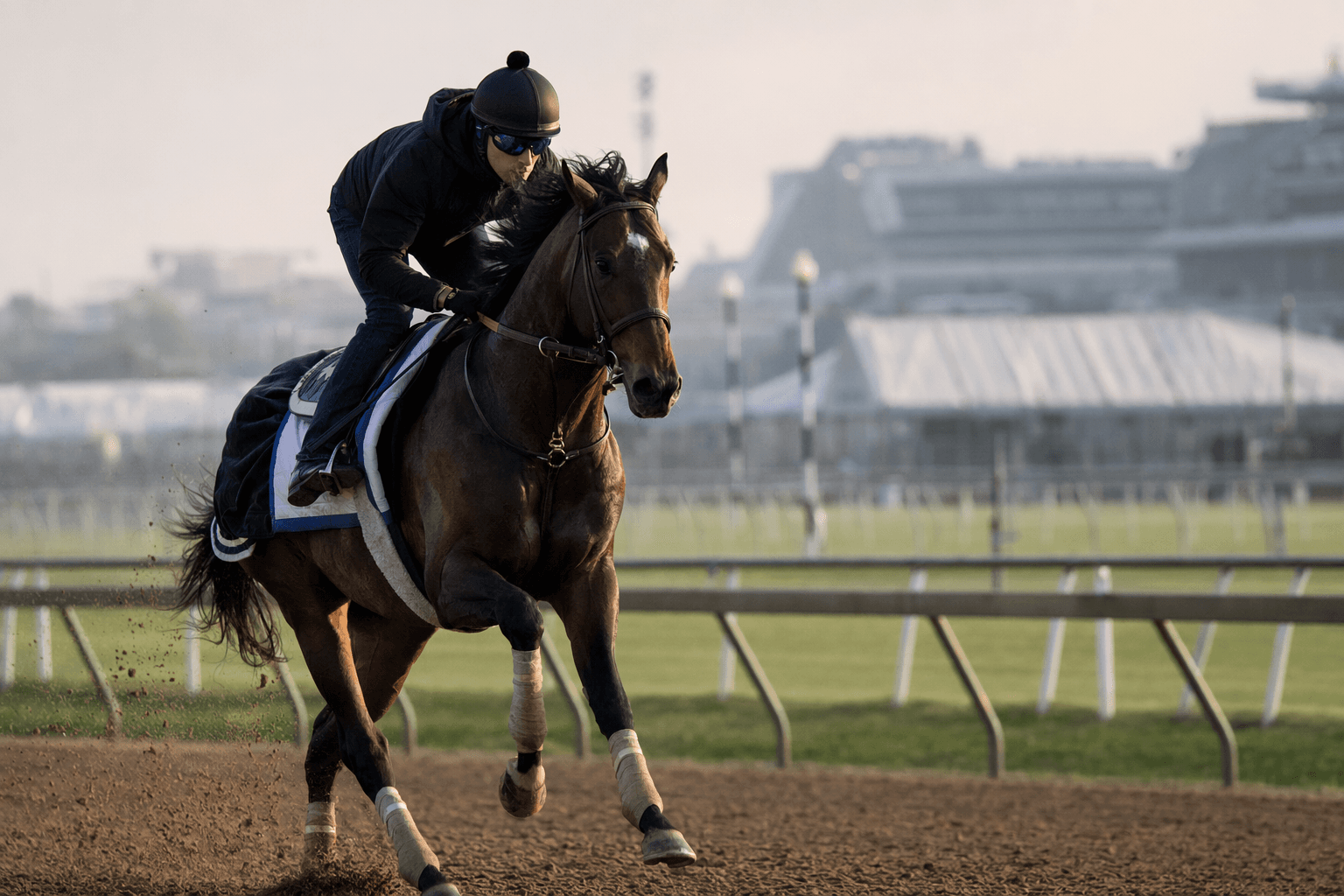 Iron Honor drops blinkers for Preakness, aims to settle early