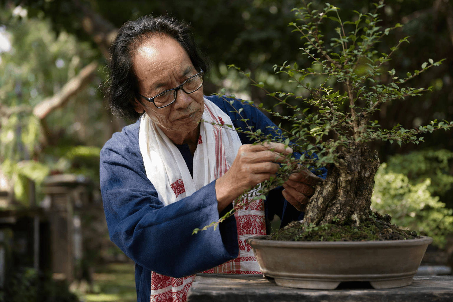 Assam’s Bonsai Man Labu Senapati Honoured for Lifelong Cultural Impact