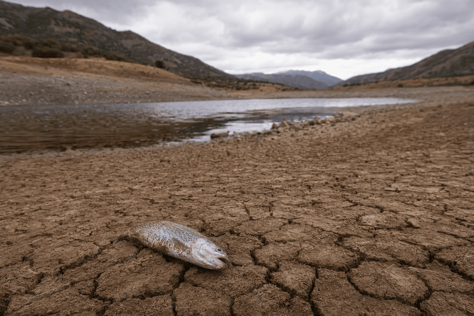Utah fishing shifts as drought forces fish, stocking changes