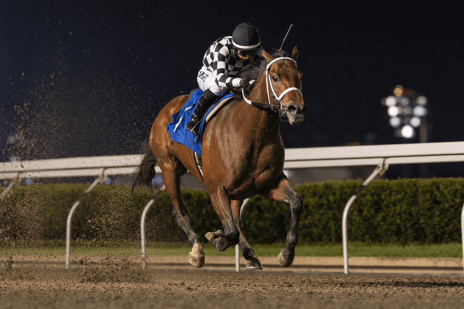 Highly Motivated gets first winner as Mischief Crown wins Mexico debut