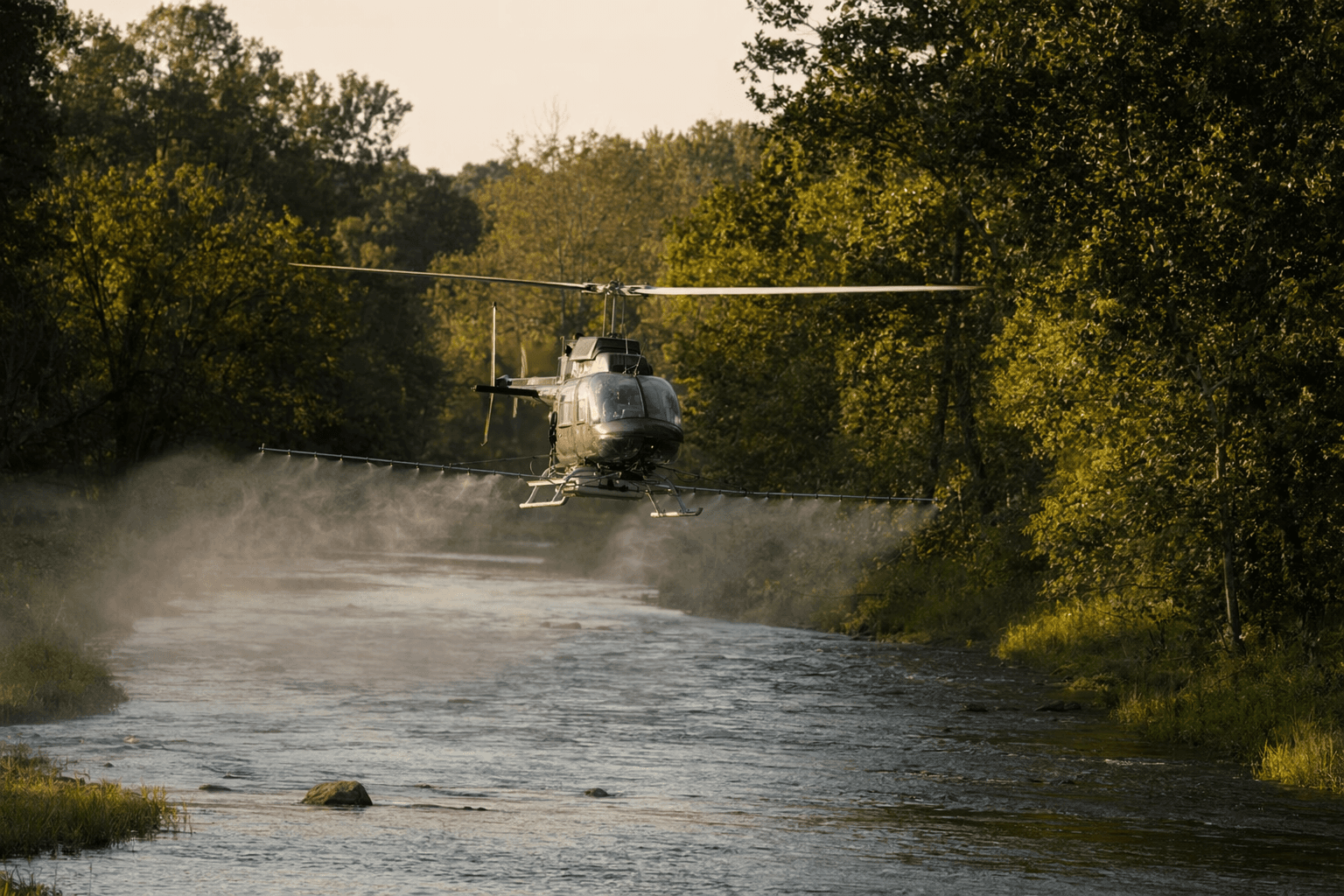 Union County schedules helicopter black fly control over creeks