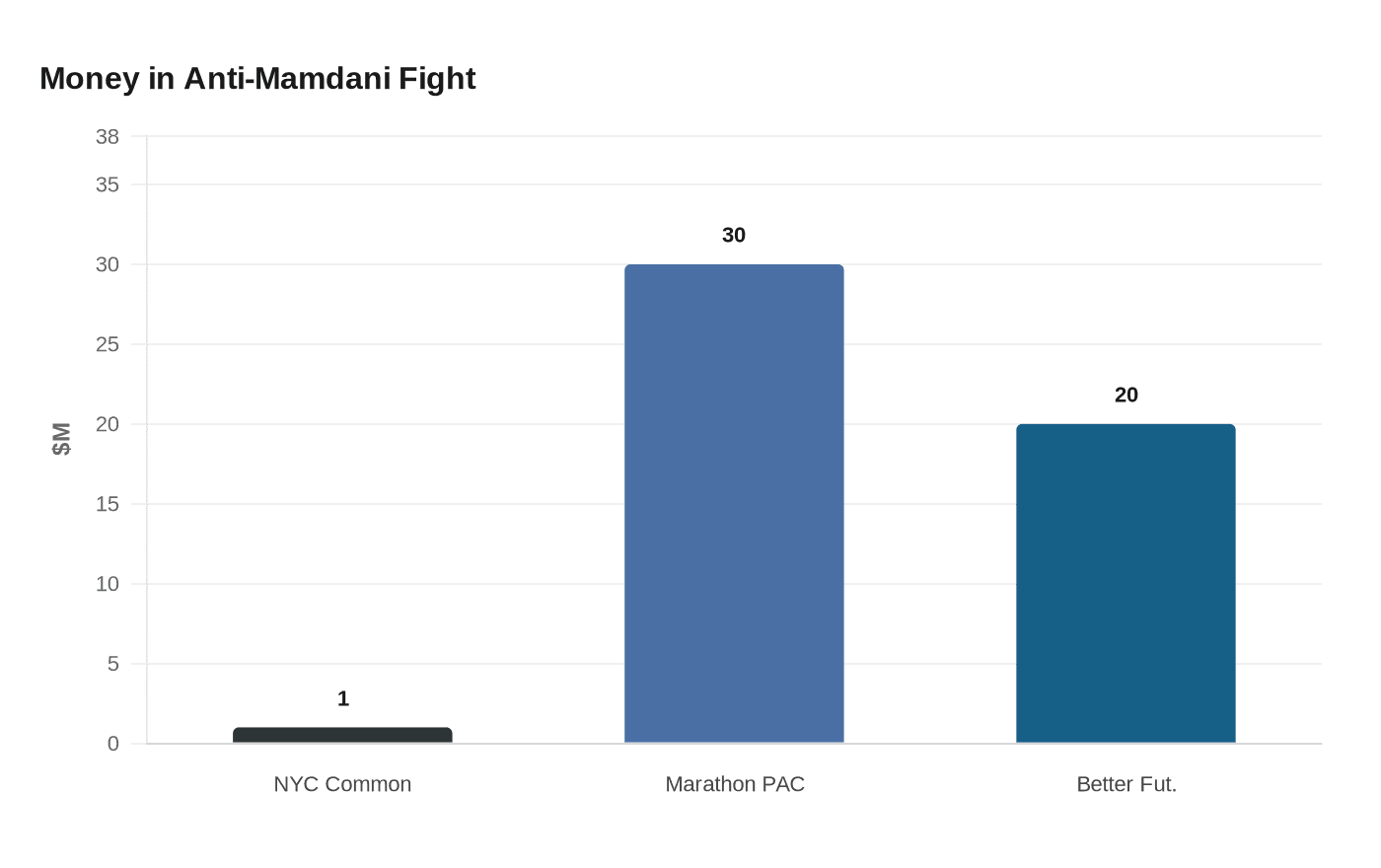 New group forms to challenge Mamdani with ads and lawsuits