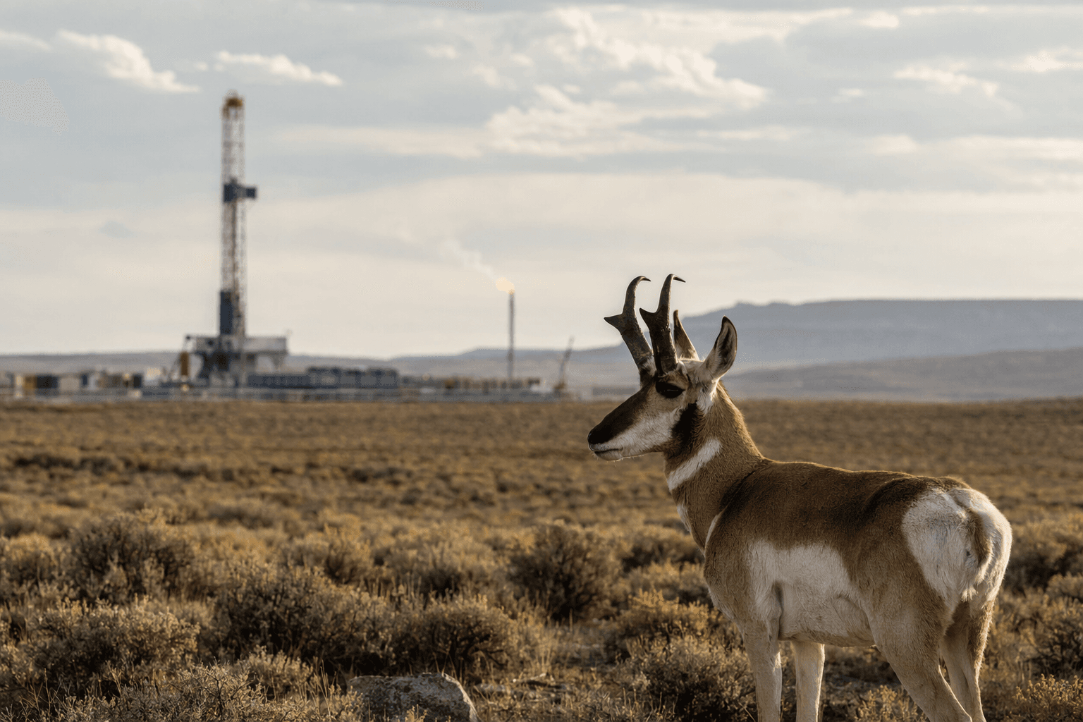Interior Department rolls back BLM conservation rule on public lands