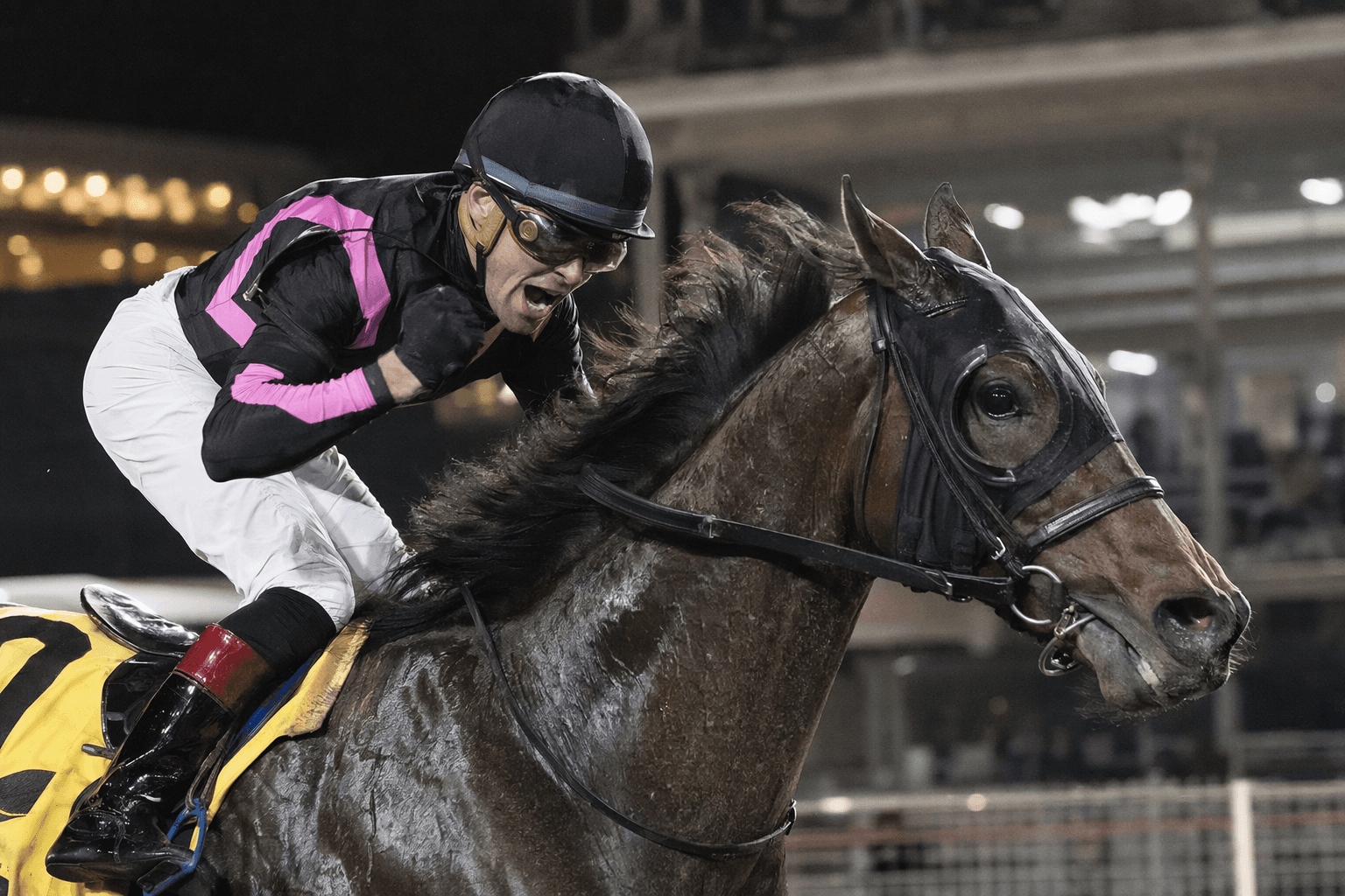 How About Now rallies to win Cleopatra Stakes at Horseshoe Indianapolis