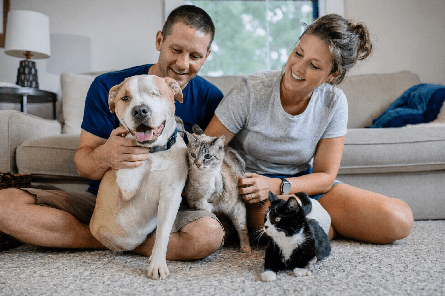 Maryland couple adopts inseparable three-legged dog and cat together