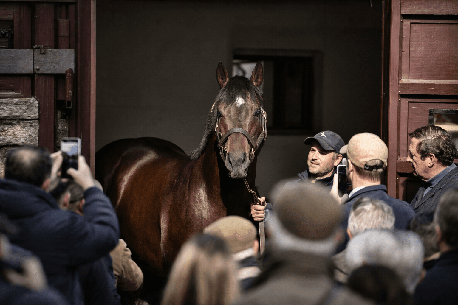 Flightline mania crosses Atlantic with three lots at Arqana sale