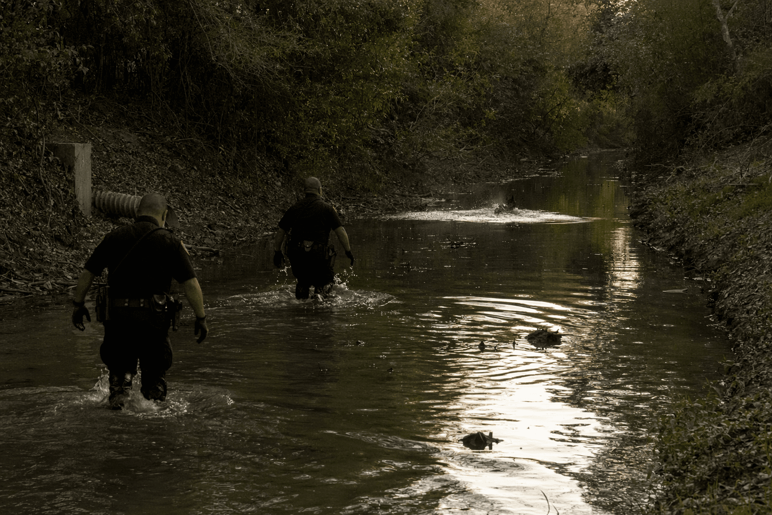 Houston police chase suspect by car, scooter, on foot, into bayou