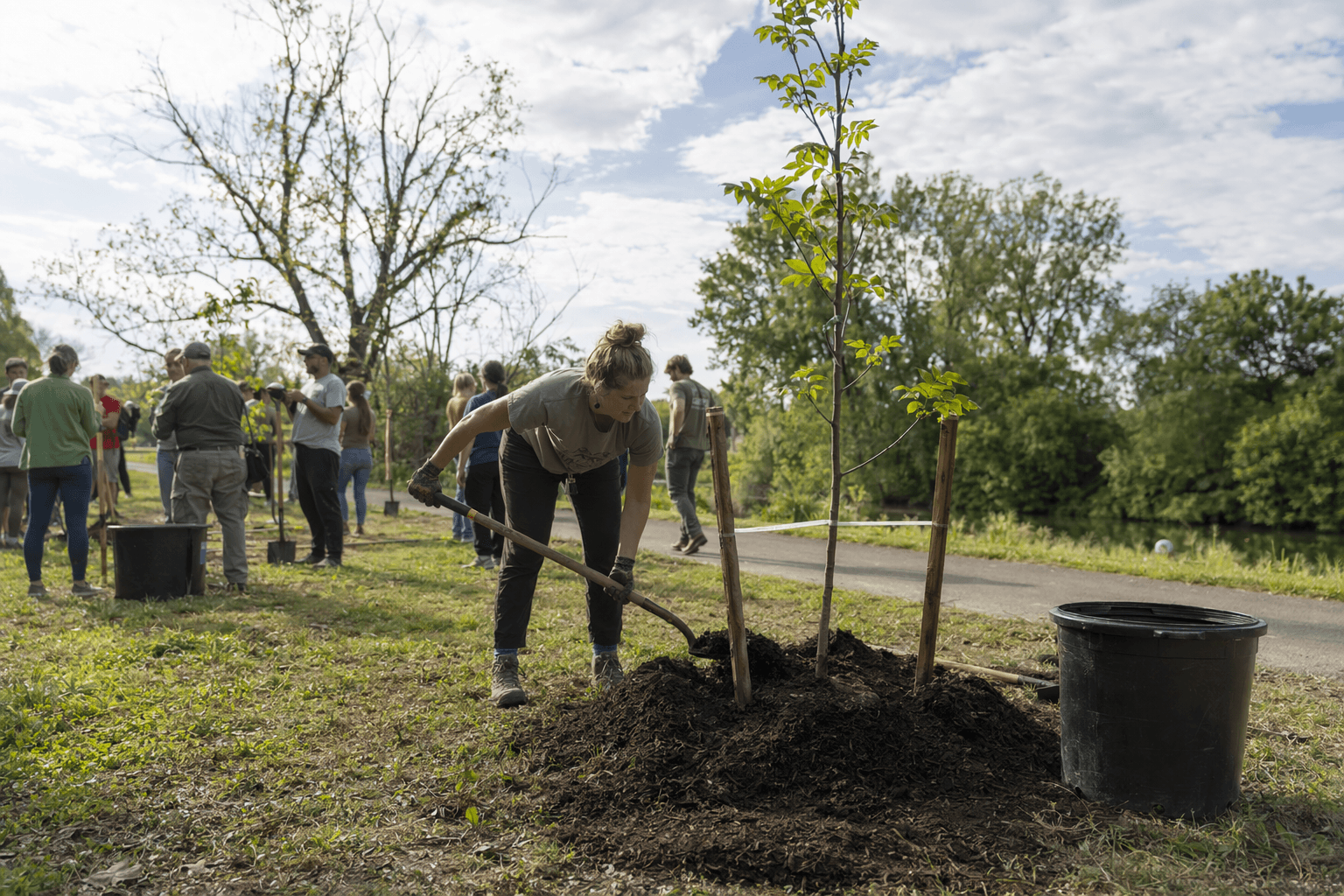 Lewisburg plants native trees to boost shade and stormwater control