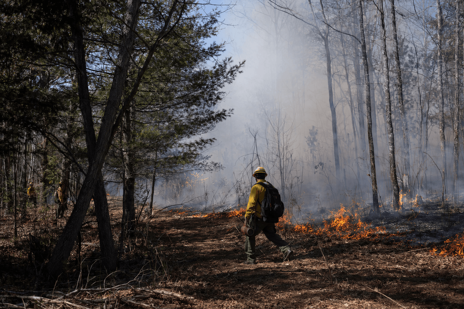 Controlled burn near Keshena highlights Menominee forest stewardship