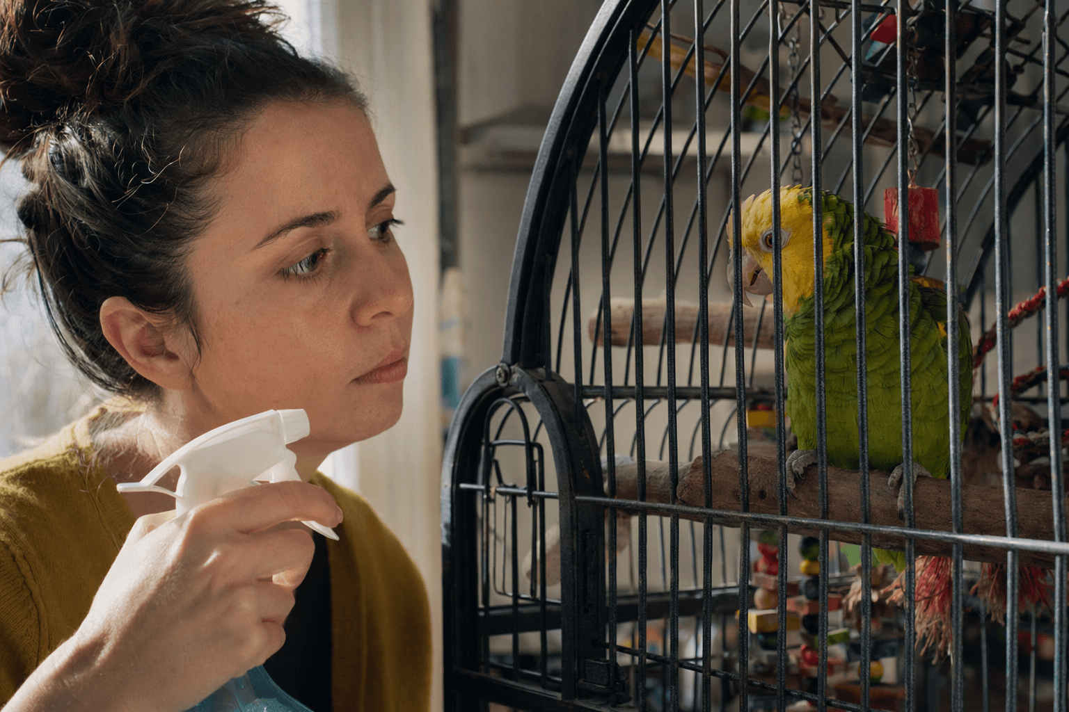 How parrots use smell for safety, food, and health signs
