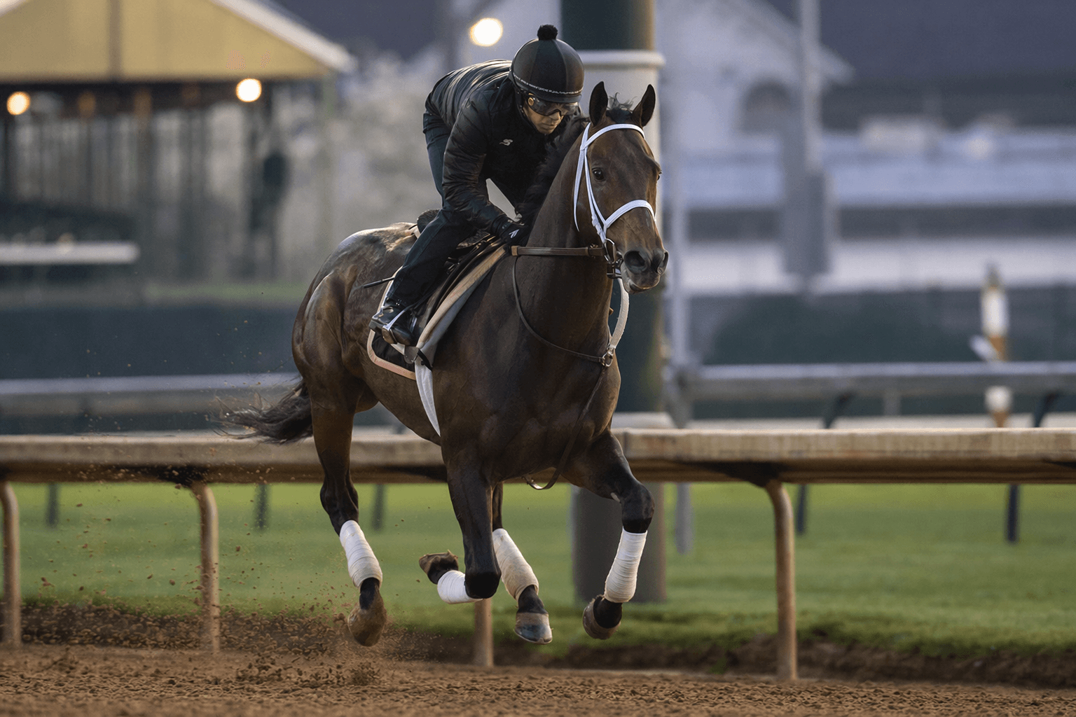 Commandment works sharp at Churchill, eyes Belmont Stakes at Saratoga
