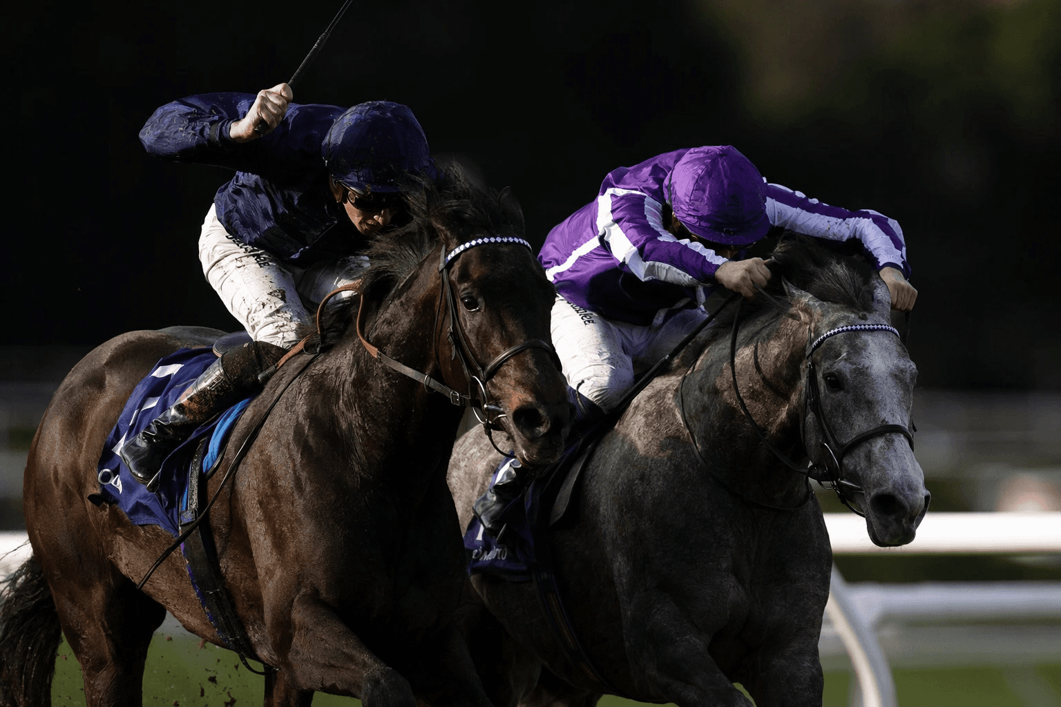 Scandinavia fights off challenge in Leopardstown Gold Cup prep