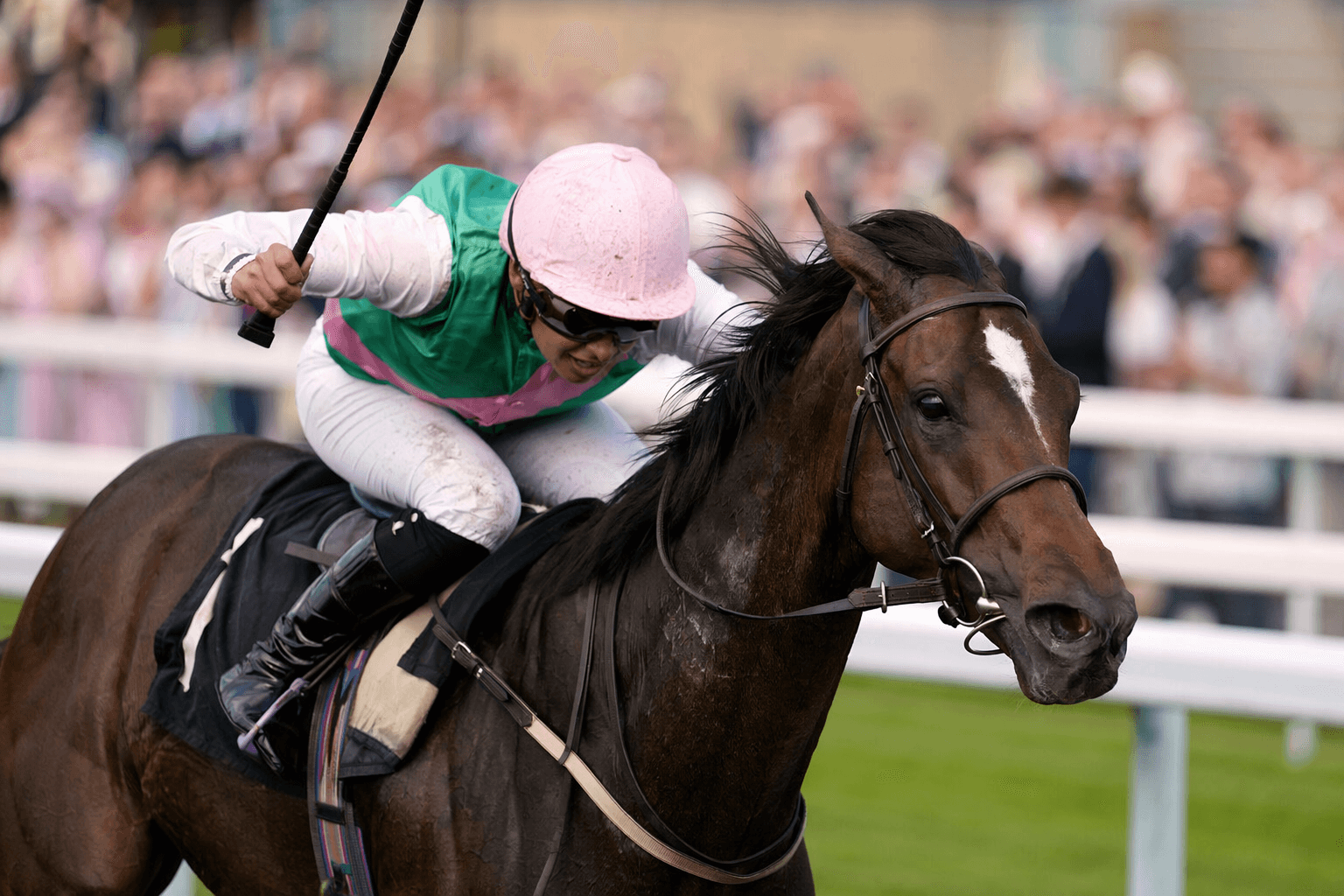 Jolivette wins Newmarket novice, quoted at 12-1 for Albany Stakes