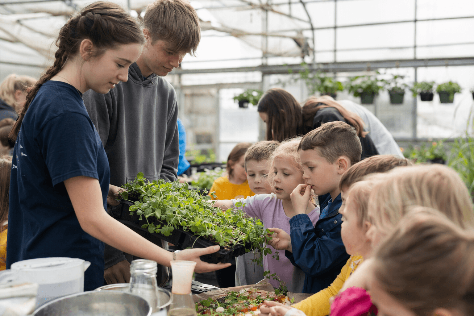 Lewisburg students learn farm-to-table skills at first Farm Field Day