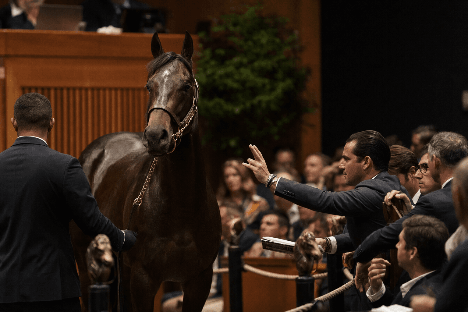Pedro Lanz pays $2.1 million for Flightline colt at Fasig-Tipton sale