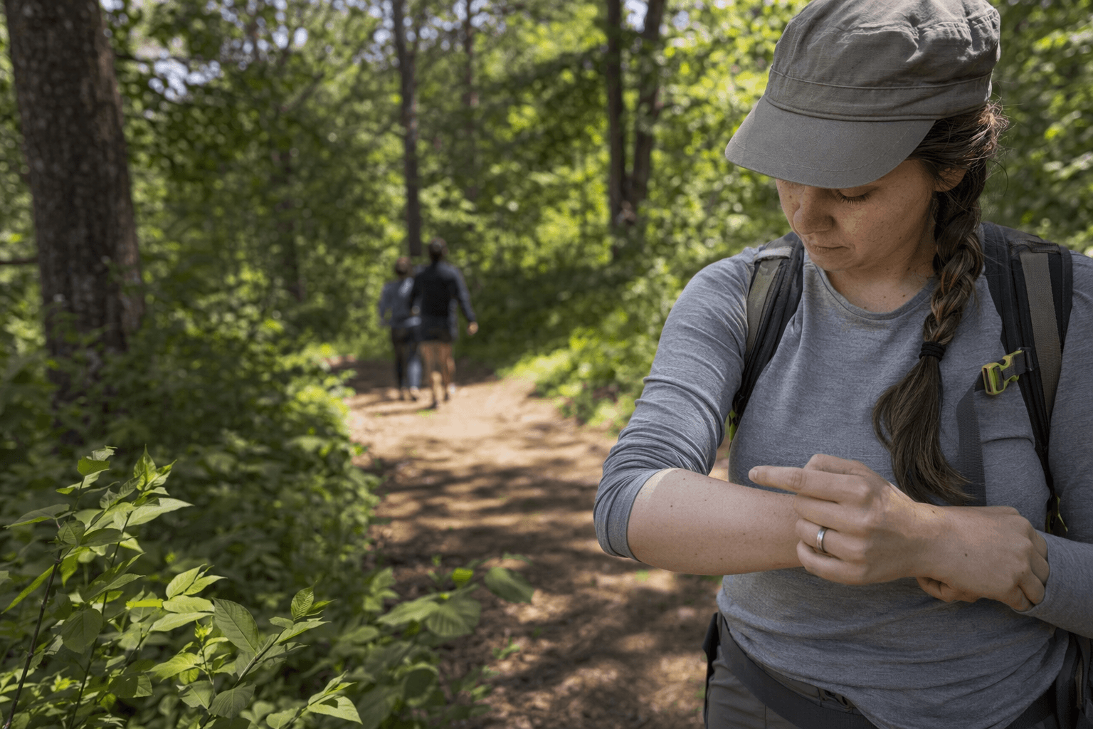 Tick-borne diseases rise in Iron County, residents urged to identify ticks