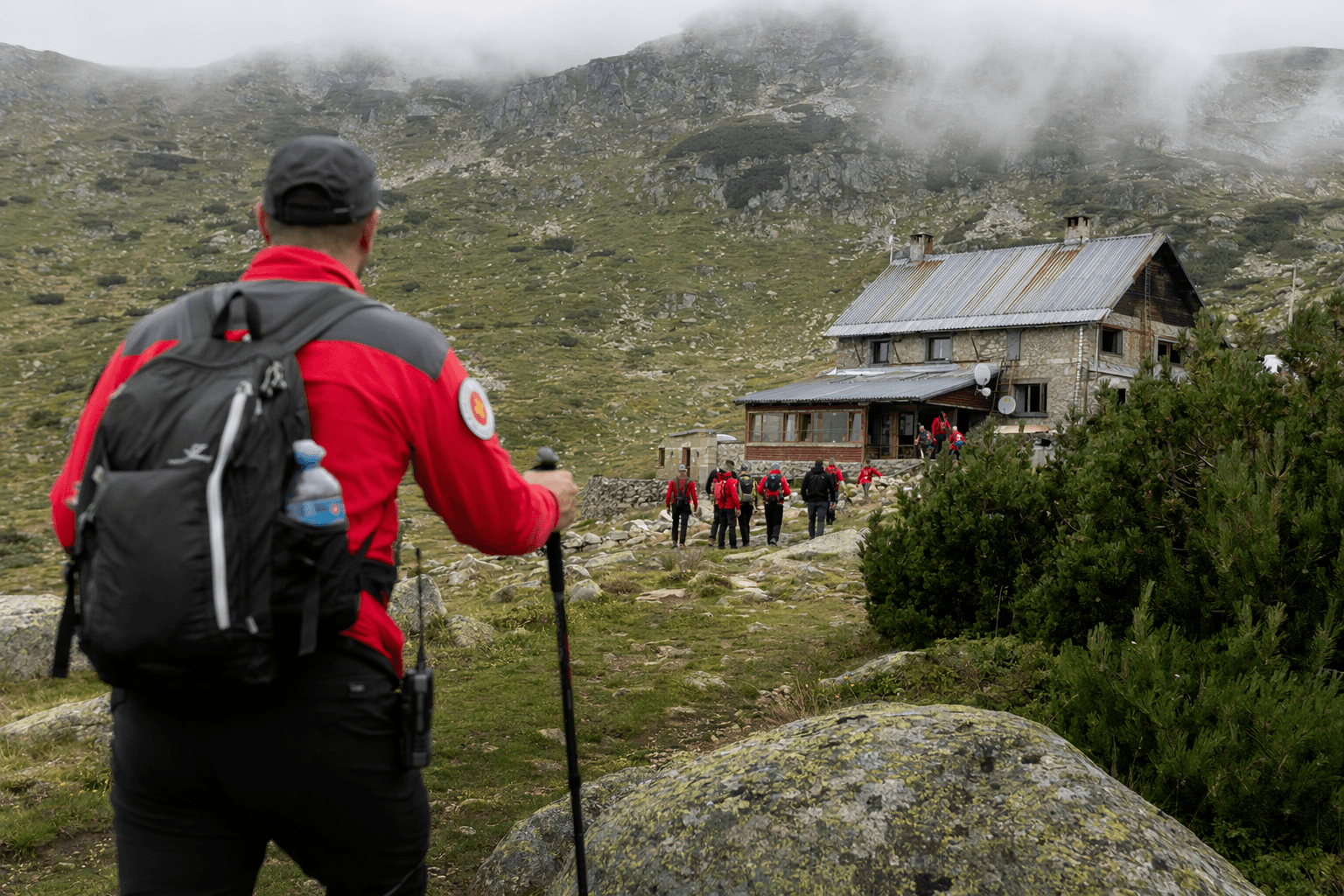 Bear kills hiker near Sofia, prompting security sweep in Vitosha park