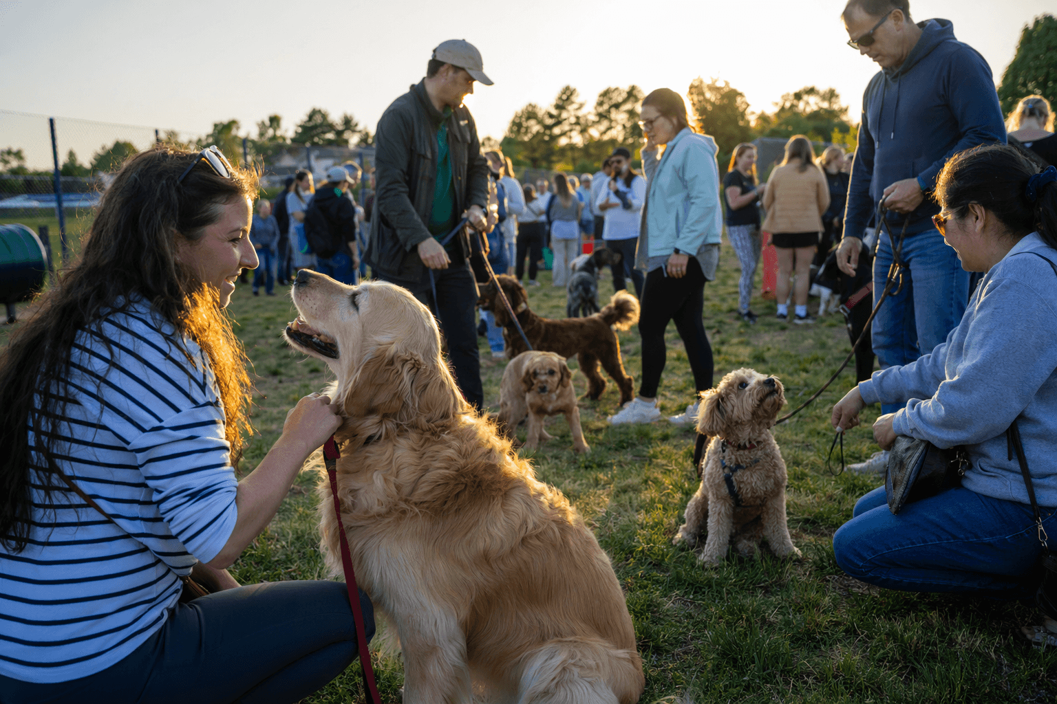 Haydon Wick dog park opens with first-ever dog show