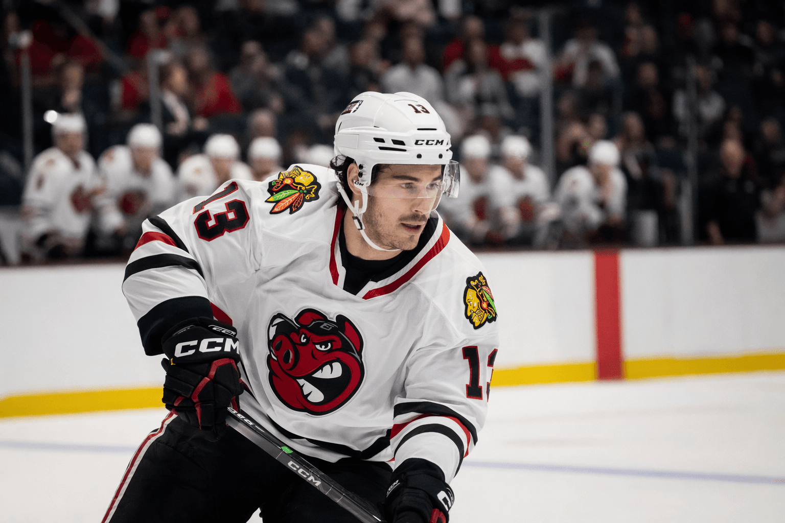 IceHogs sign Marcus Joughin to one-year AHL contract